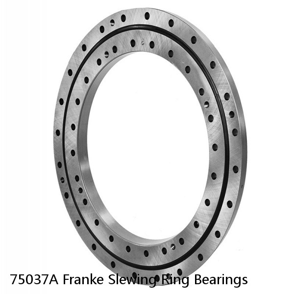 75037A Franke Slewing Ring Bearings