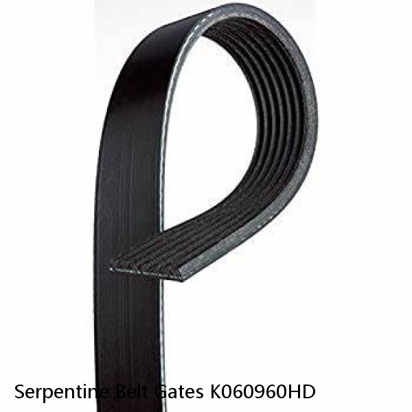 Serpentine Belt Gates K060960HD