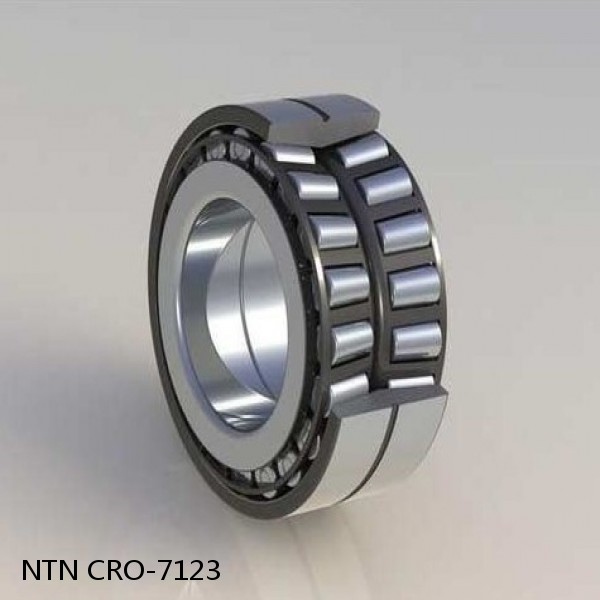 CRO-7123 NTN Cylindrical Roller Bearing