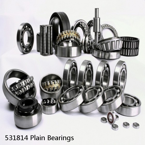 531814 Plain Bearings