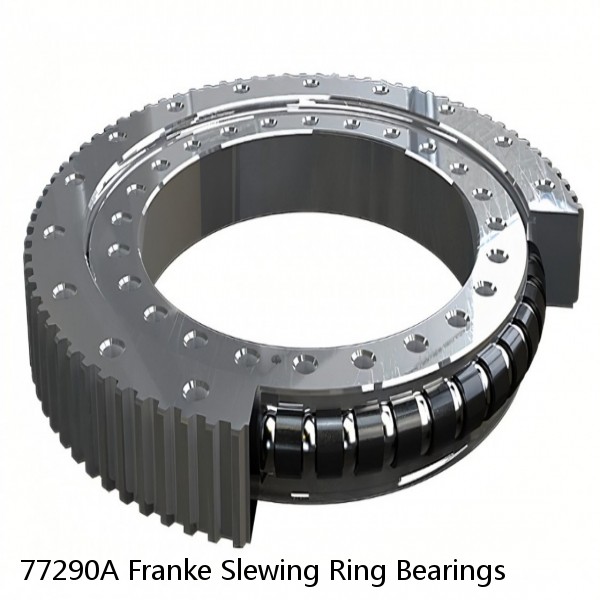 77290A Franke Slewing Ring Bearings