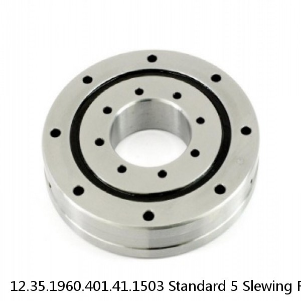 12.35.1960.401.41.1503 Standard 5 Slewing Ring Bearings