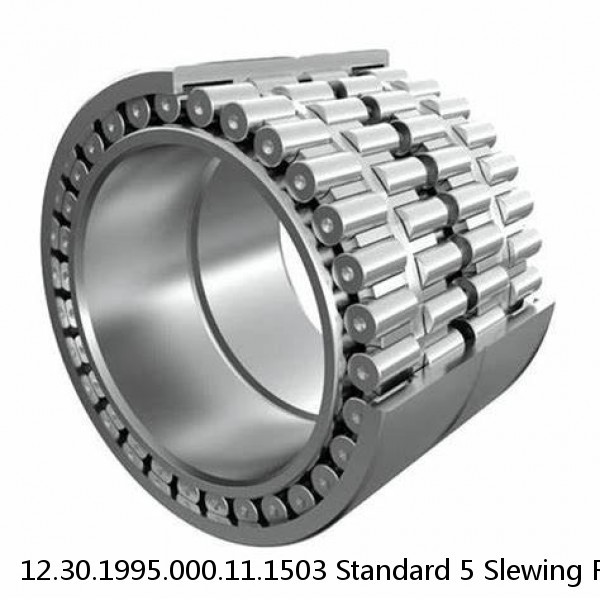 12.30.1995.000.11.1503 Standard 5 Slewing Ring Bearings