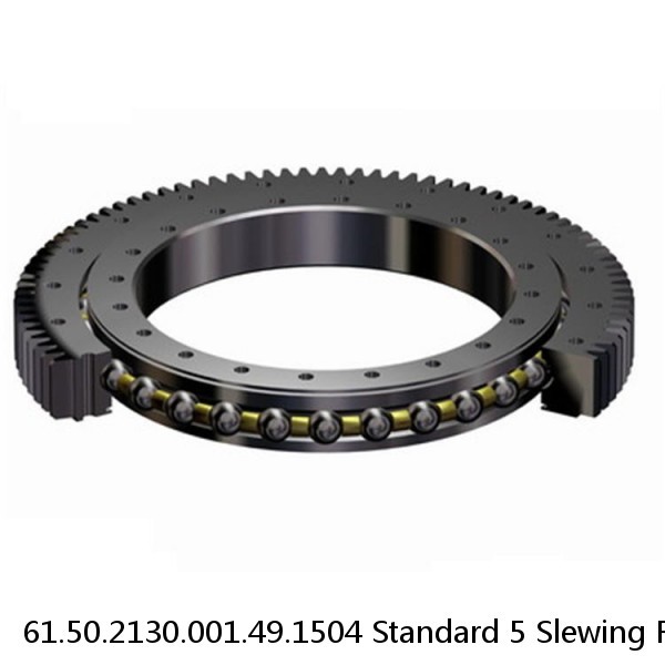 61.50.2130.001.49.1504 Standard 5 Slewing Ring Bearings