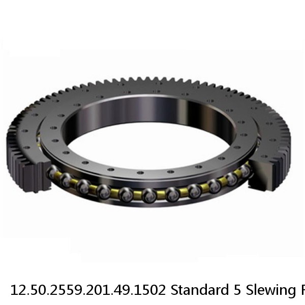 12.50.2559.201.49.1502 Standard 5 Slewing Ring Bearings