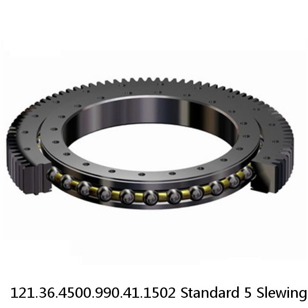 121.36.4500.990.41.1502 Standard 5 Slewing Ring Bearings