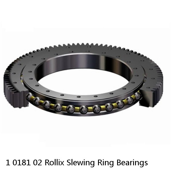 1 0181 02 Rollix Slewing Ring Bearings