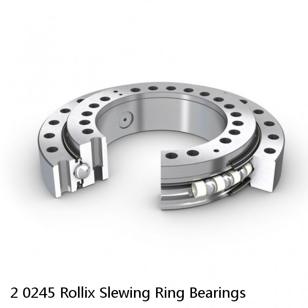 2 0245 Rollix Slewing Ring Bearings