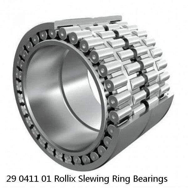 29 0411 01 Rollix Slewing Ring Bearings