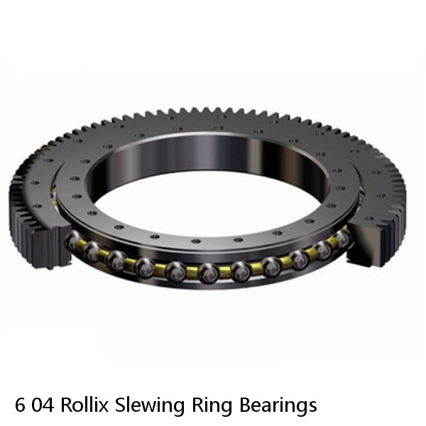 6 04 Rollix Slewing Ring Bearings