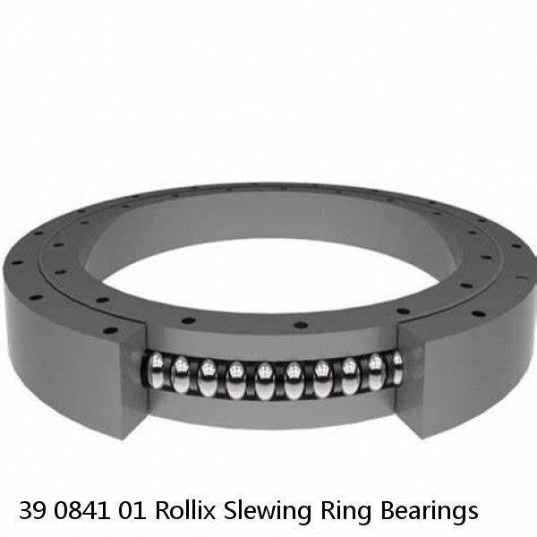 39 0841 01 Rollix Slewing Ring Bearings