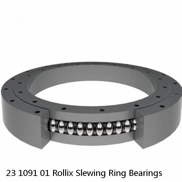 23 1091 01 Rollix Slewing Ring Bearings