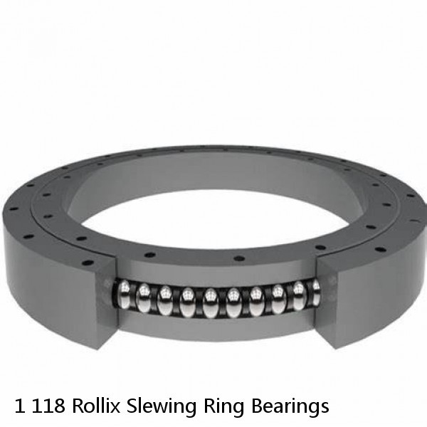 1 118 Rollix Slewing Ring Bearings