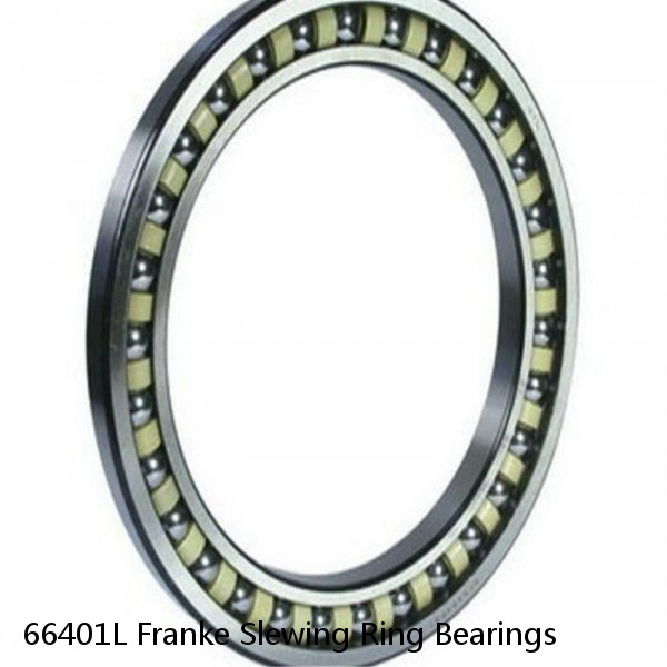 66401L Franke Slewing Ring Bearings