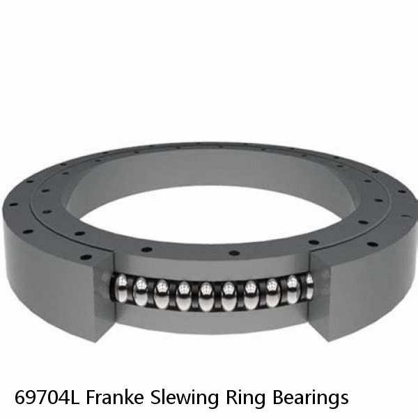 69704L Franke Slewing Ring Bearings