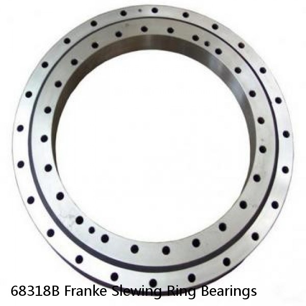 68318B Franke Slewing Ring Bearings