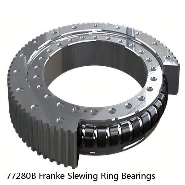 77280B Franke Slewing Ring Bearings