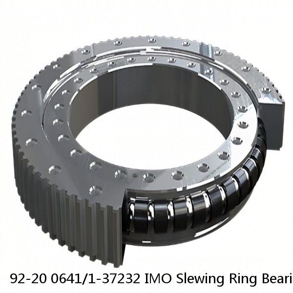 92-20 0641/1-37232 IMO Slewing Ring Bearings