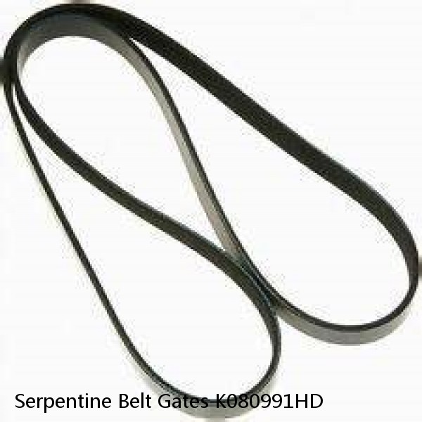 Serpentine Belt Gates K080991HD